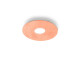 Kolarz Circle 1 Light Ceiling Light