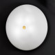 Kolarz Bianca Glass Ceiling Light Gold